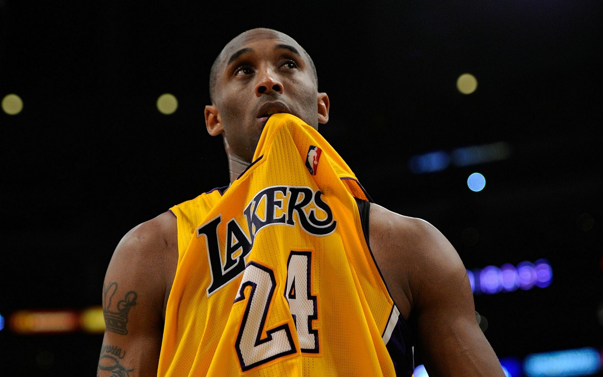 让更多用户 让更多用户